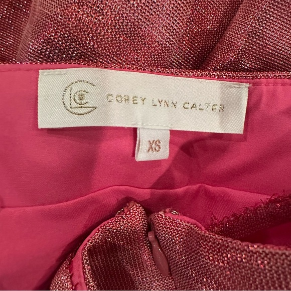 Corey Lynn Calter Pink Shiny Shimmer Size XS Dress - Picture 8 of 9